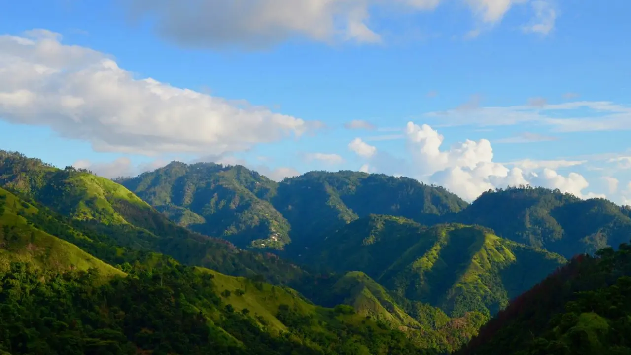 Blue Mountains , Jamaica