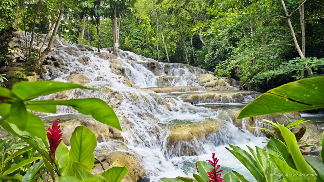 #1 World Famous Dunns river Falls