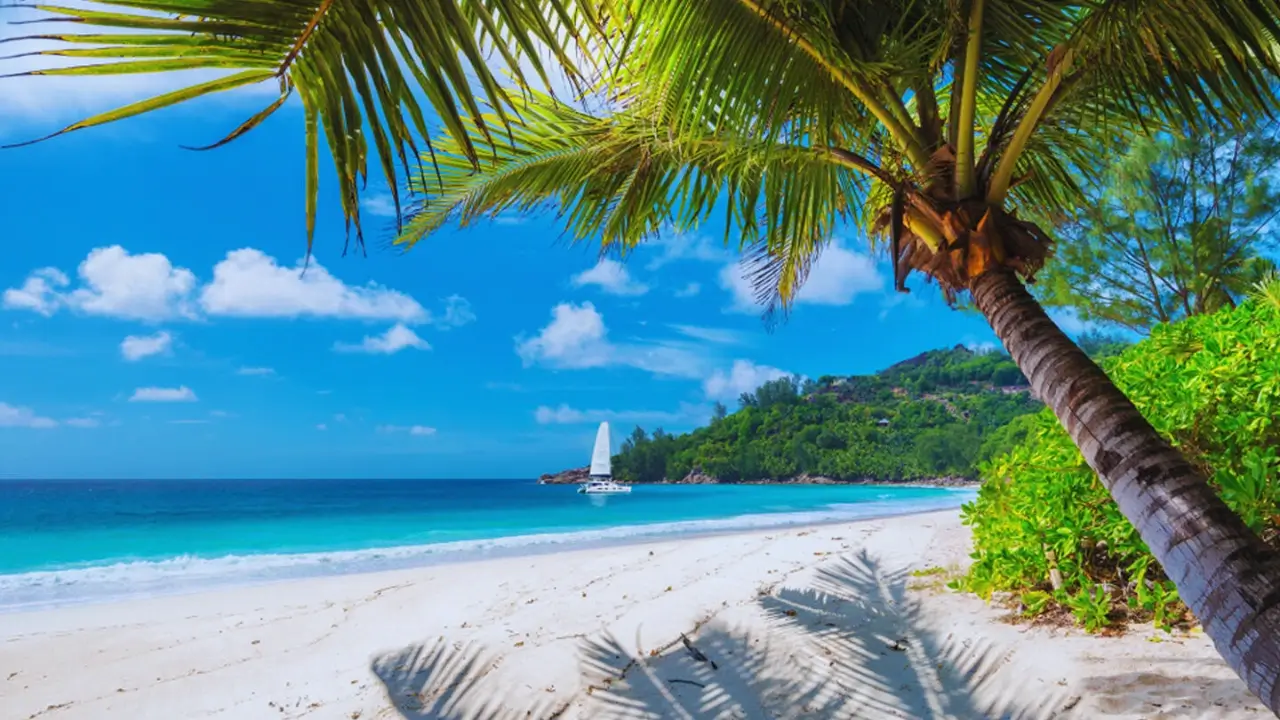 Montego Bay, Jamaica ( Your Dream Destination in 2023)